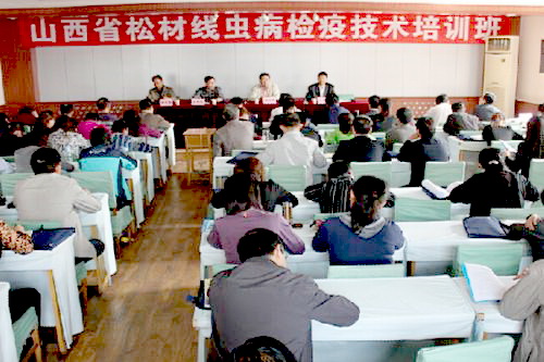 ɲľ(xin)x(chng)Ό(zhun)(xing)W(xu)(x)Ӗ(xn)