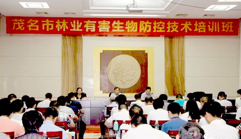 Ӵ󞳅^(q)֘I(y)кΌ(zhun)(xing)W(xu)(x)Ӗ(xn)